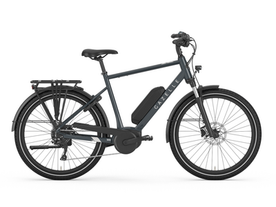 GAZELLE Medeo T9 H/L 27-5" S9  click to zoom image