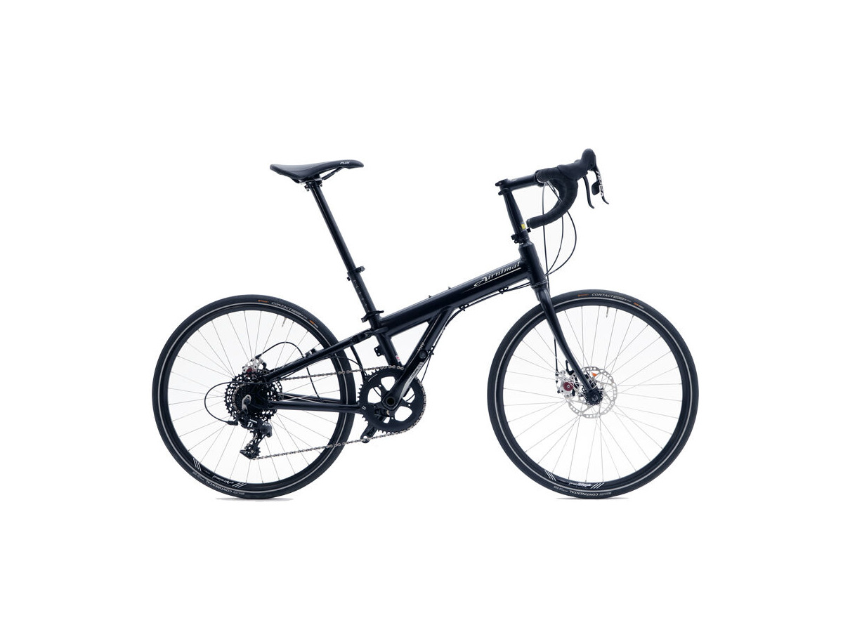 AIRNIMAL Joey Endurance click to zoom image