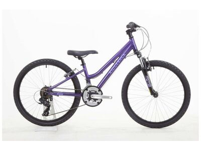 RIDGEBACK Destiny 24" Wheel Purple  click to zoom image