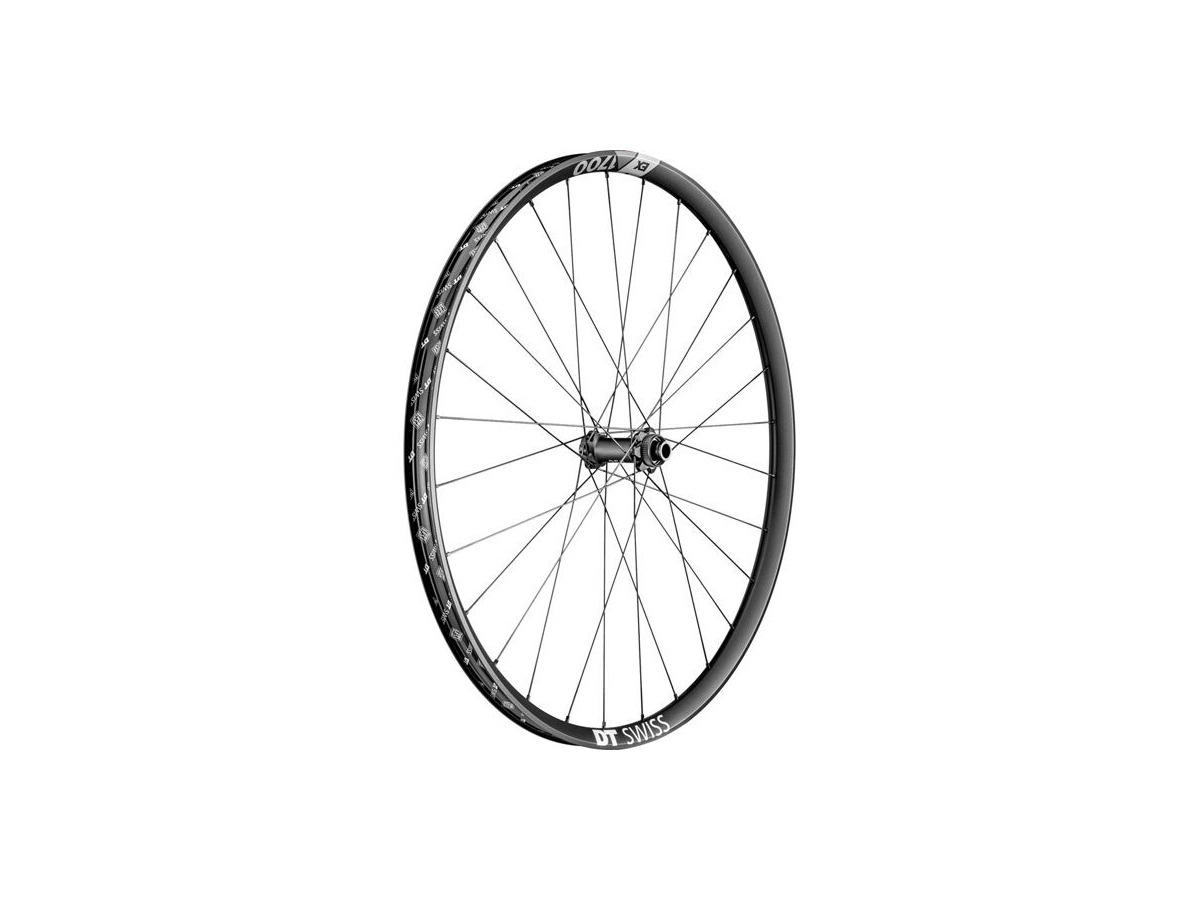 DT SWISS EX 1700 wheel, 30 mm rim, 15 x 110 m BOOST axle, 29 inch front click to zoom image